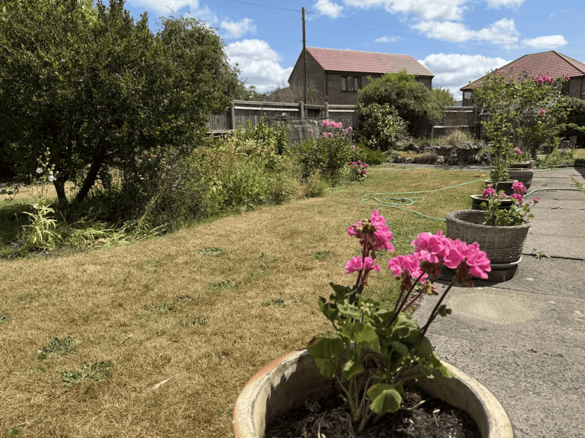 Ayurvedic herbs and traditional wellbeing elements
